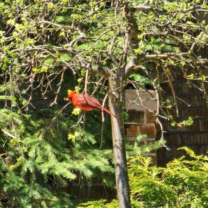 Meet your Posher, Christie